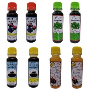 کود پتوس و ان پی کا و آهن و اسید آمینه و هیومیک مدل pak02 حجم 120 میلی لیتر بسته 8 عددی
